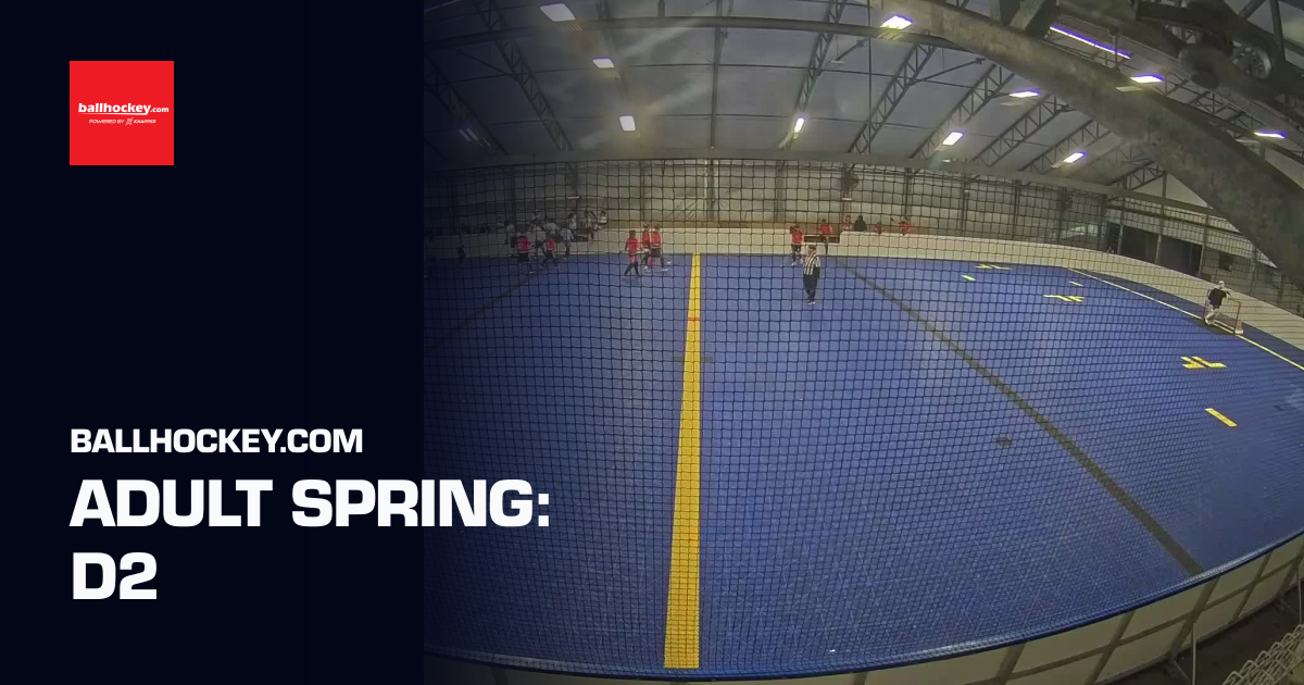 Adult Spring: D2 (Ballhockey.com) | Sporfie