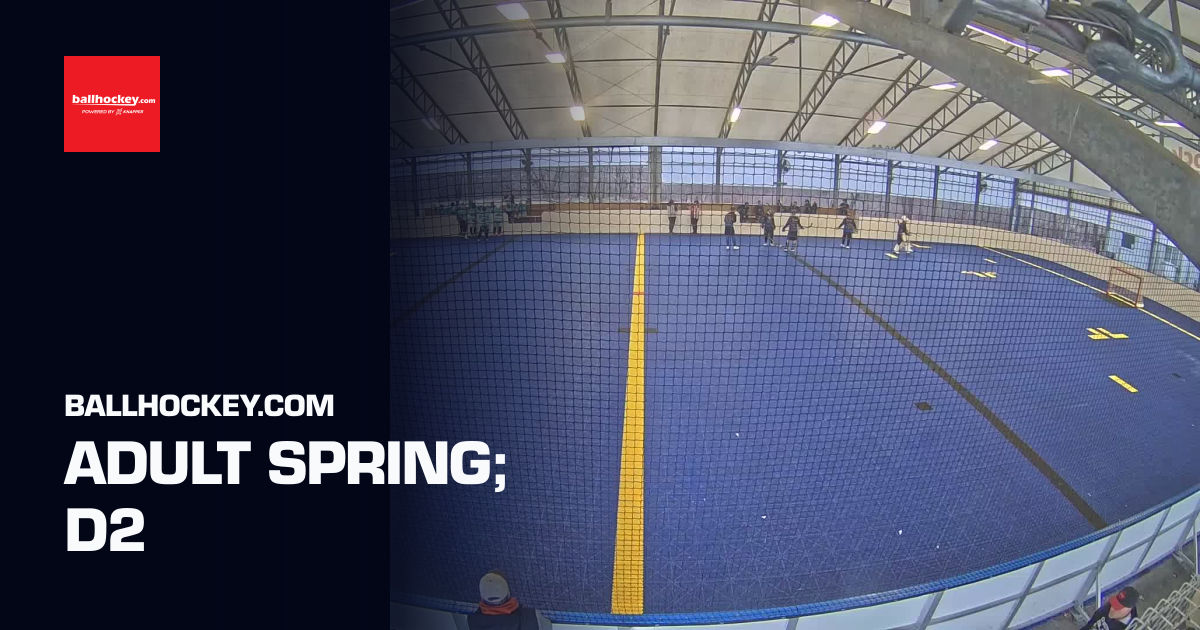 Adult Spring; D2 (Ballhockey.com) | Sporfie