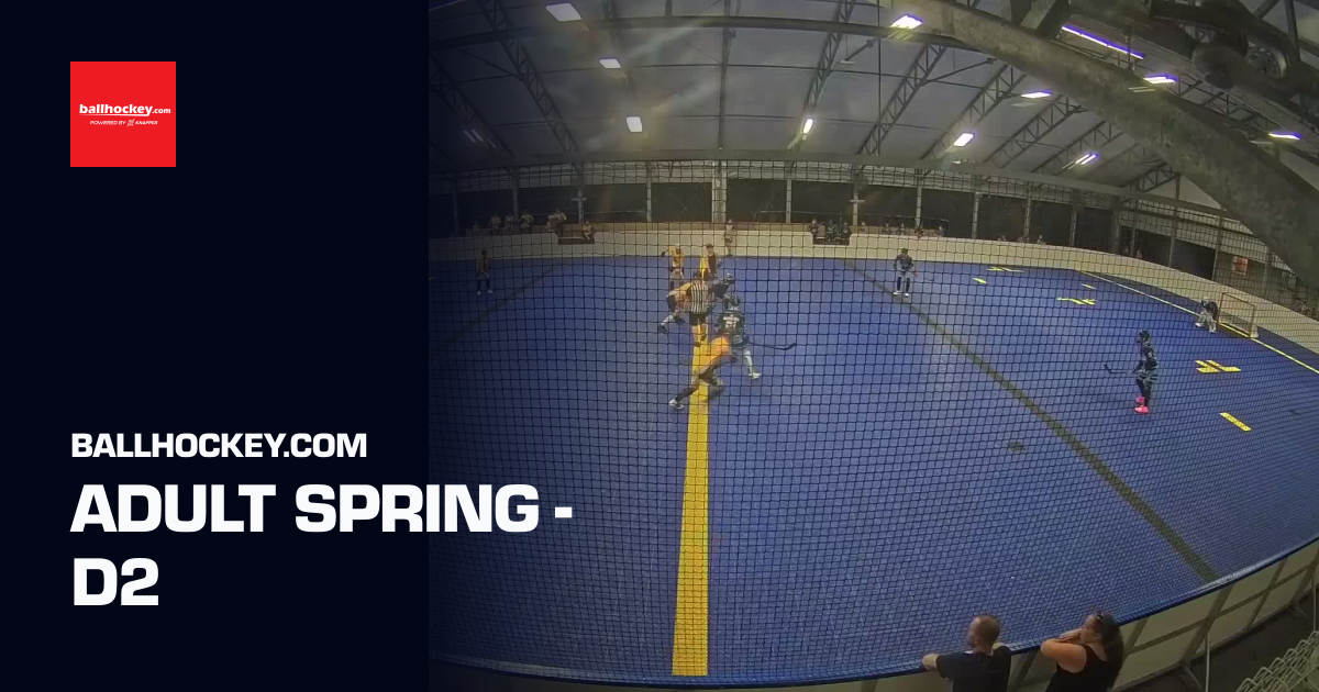 Adult Spring - D2 (Ballhockey.com) | Sporfie